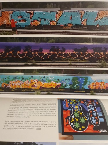 Ces 53 Graffiti Buch und Hims Buch - Bild 11 von 12