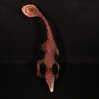 Picture 5 of 24