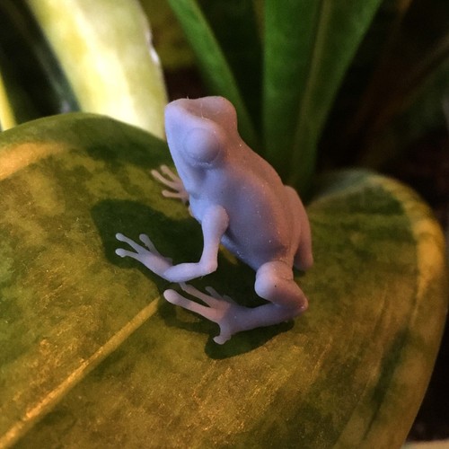 Dart Frosch - 3D gedrucktes Modell - unbemalt - Tiere Miniaturen - Bild 3 von 12