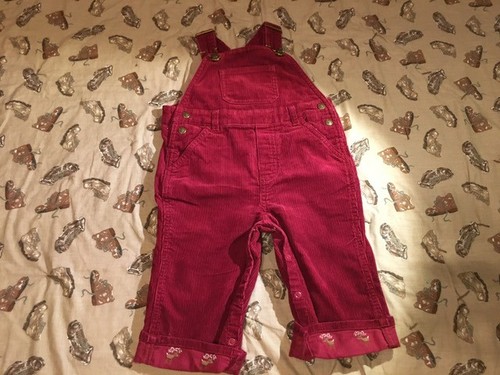 SCEGLI volume prezzo Gymboree usato in ottime condizioni bavaglino salopette pantaloni 3-6 6-12 12-18 18-24 2T - Foto 29 di 40