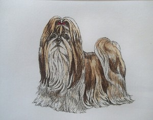 Cute Poster Picture Print Sizes A5 to A0 **FREE DELIVERY** SHIH TZU PUPPY DOG