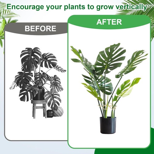6pcs Plant Stem Support Iron Monstera Plant Support Plant Stem Holder Support - Picture 5 of 7