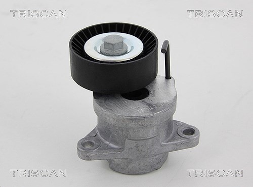 Triscan Riemenspanner, Keilrippenriemen U.A. FüR Chevrolet, Opel, Saab-image