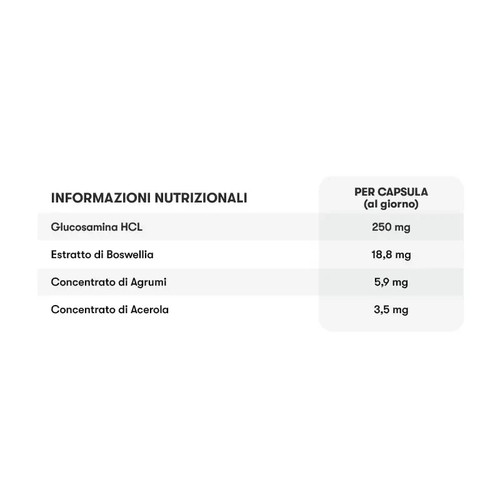 Glucosamin mit Boswellia NUTRILITE, GROSSFORMAT 150 Kapseln x 2 Packungen - Bild 3 von 3