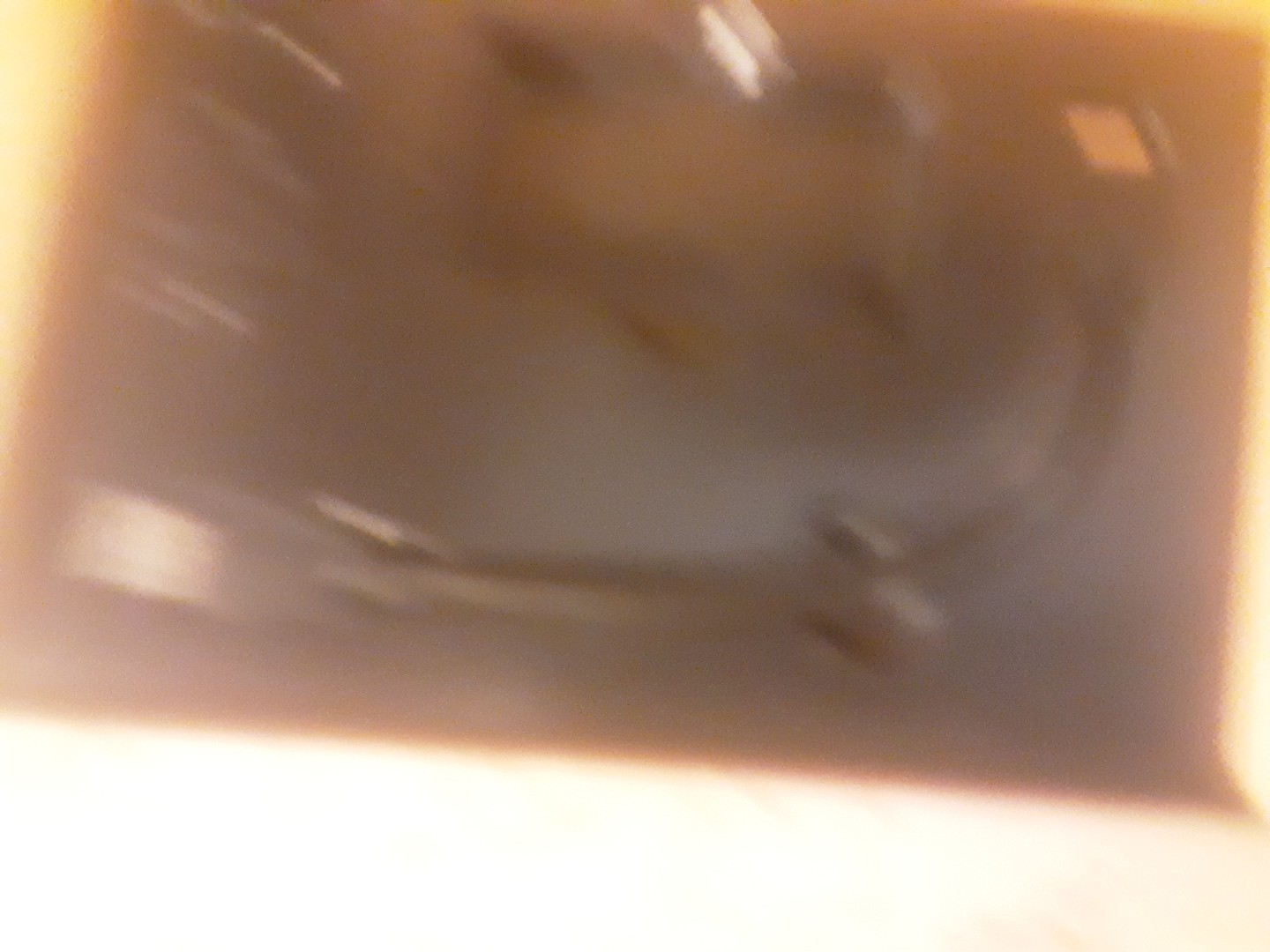 Picture 9 of 10