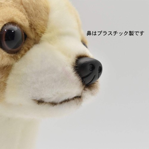 BH6295 HANSA Chihuahua 27 Realistic stuffed animals Plush - Picture 7 of 9