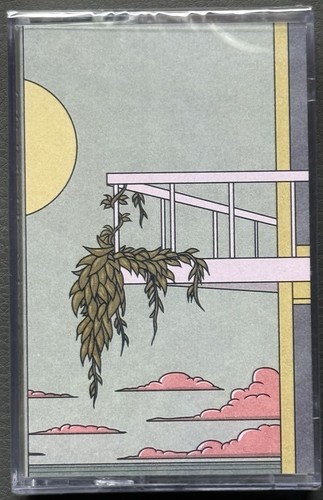 DECISIVE KOALA - VIEWS Cassette Vaporwave Synthwave Chillsynth Stratford Ct.
