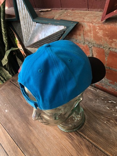NWT Vintage 90s Carolina Panthers Adjustable Hat NFL - Picture 7 of 11