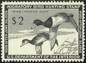 RW21-2-00-1954-Ring-Necked-Ducks-Lovely-Mint-NH-Single