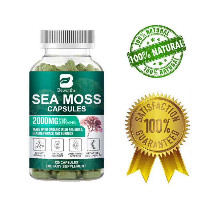 2000mg Sea Moss Capsules Burdock Root Irish Moss and Bladderwrack Immune Boost