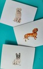 Set of 3 prints Cards, Miniature Dog Pictures Greetings, Birthdays, Fathers Day