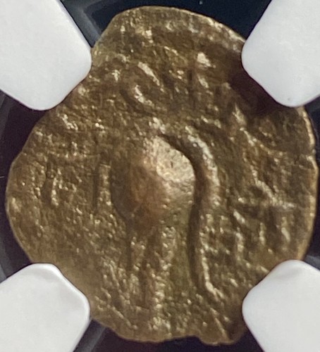Ptolemaic Kingdom Coin 116BC-88BC NGC Graded Ptolemy IX-X Cyrene Zeus Isis - Picture 12 of 15