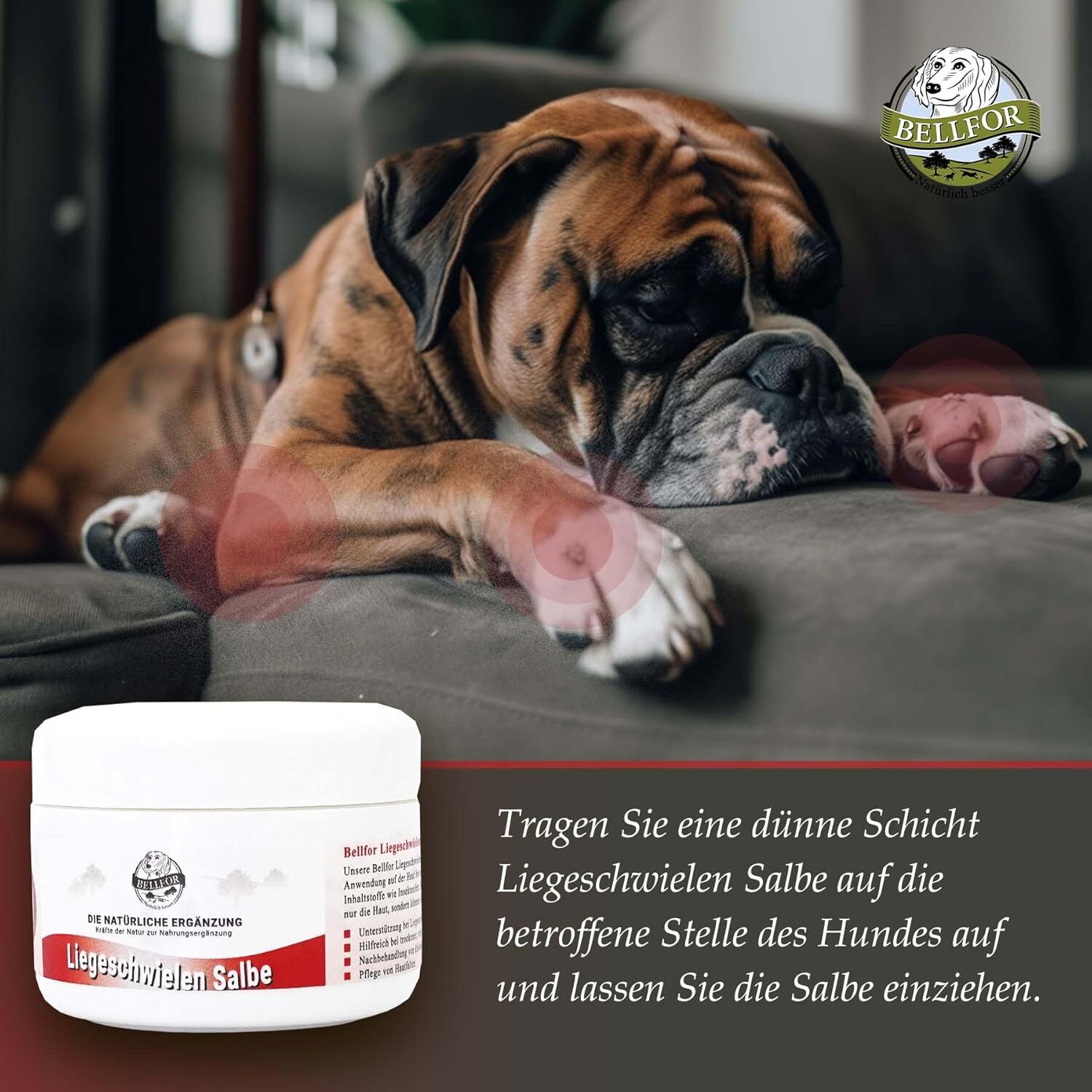 Bild 6 von 7