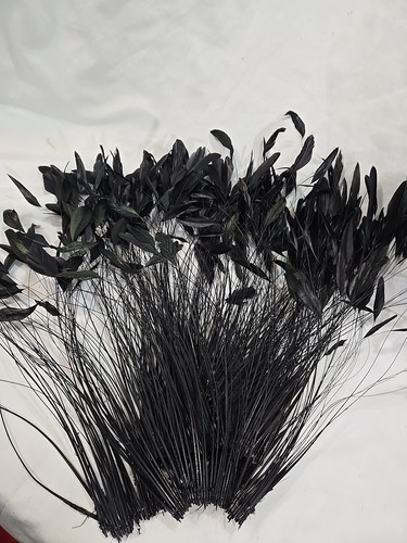Black Stripped Coque Millinery Feathers Pack of 35 - Picture 2 of 9