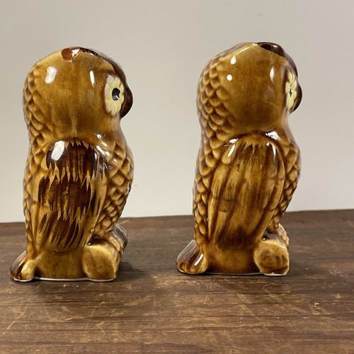 Shaker sale e pepe gufo vintage ceramica marrone - Foto 6 di 9