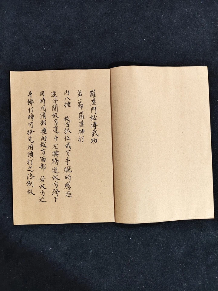 4 libros antiguos de artes marciales chinas encuadernados en hilo - Luo Han Men Wu Gong Mi Chuan Foto 3 de 4