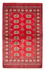 3'2" x 5'2" Hand Knotted Oriental Carpet Traditional Wool Area Rug
