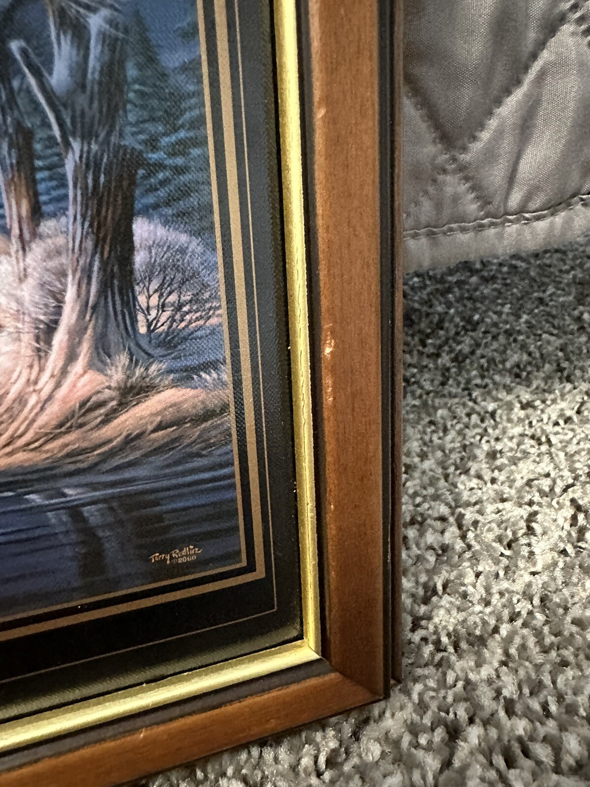 Picture 3 of 5