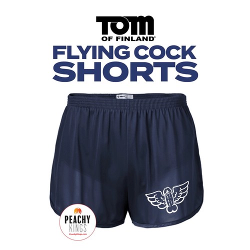 MANN MARINESHORTS GAY TOM OF FINLAND FLIEGENDER COCK SEXY FITNESSSTUDIO MILITÄRSHORTS TWINK - Bild 1 von 4