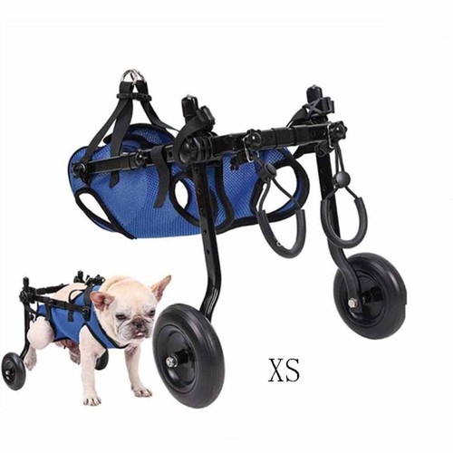 S/M/L Silla de Ruedas Ajustable para Perros Herramientas para Pasear Mascotas - Imagen 10 de 10