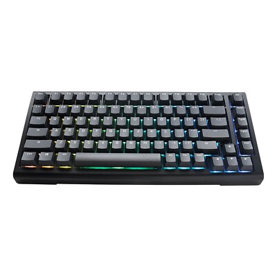 タッキーブロック Ducky ProjectD Tinker 75 Cherry Silver Switch Black Keyboard