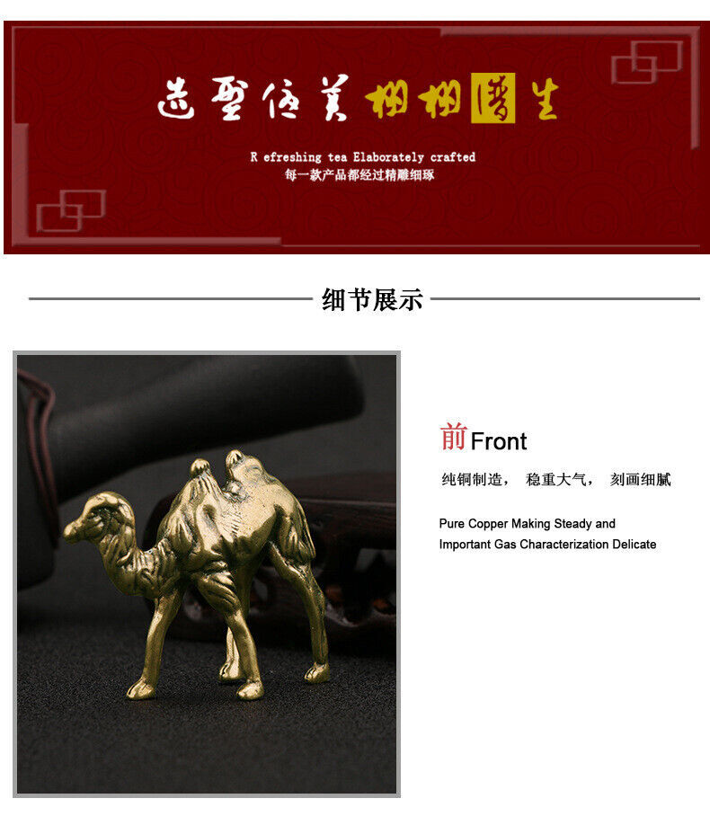 Foto 15 di 24