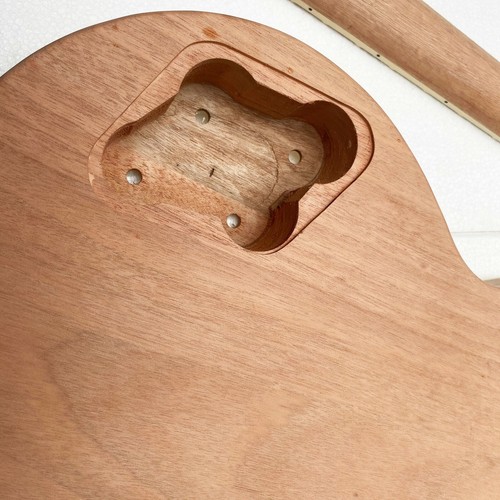 Project Kit Chitarra Elettrica Infinita con pennini rileganti sui tasti - Foto 4 di 5