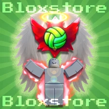 👑PRO RANK 👑 BOOSTING [ 36 HOURS]  | 🏐Volleyball Legends🏐 (READ DESCRIPTION)