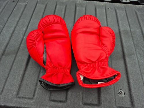 Everlast Boxing Gloves Youth Small Training Sparring Martial Arts - Picture 2 of 4