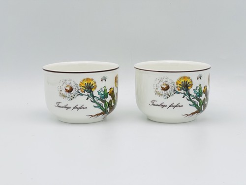 Villeroy & Boch Botanica Coffee Tea Cups & Saucers Tussilago Yellow Flower EXCL! - Picture 4 of 6