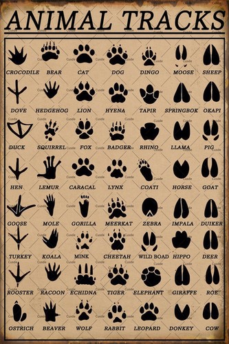Cusde Animal Tracks Sign Vintage Metal Tin Sign Funny Hunting Decor Farmhouse... - Bild 1 von 7