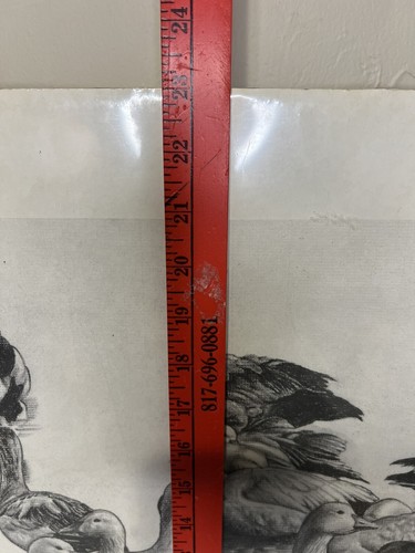 Vtg Joan Burnet Bruns Pencil Sketch. Ducks, Birds Still Life Sketch 54/200 - Picture 6 of 8