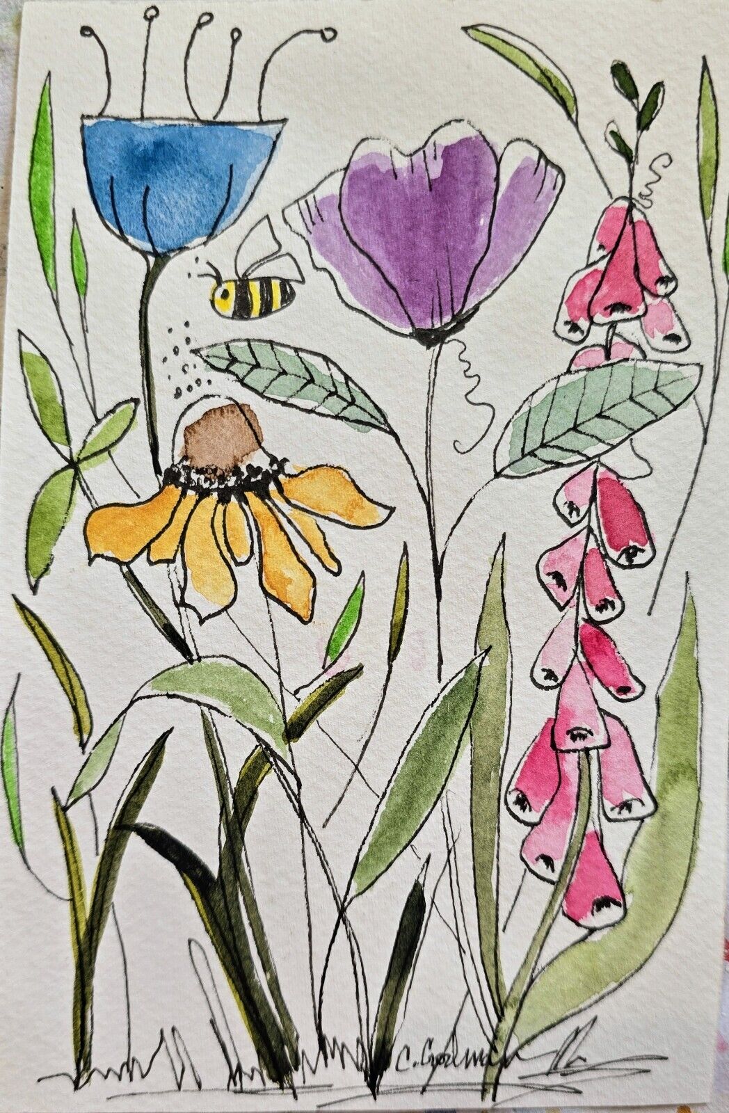 Bild 2 von 2