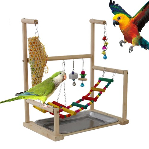 Bird Playground Bird Activity Center for Finch Budgie Cockatiel Hummingbird - Picture 3 of 6