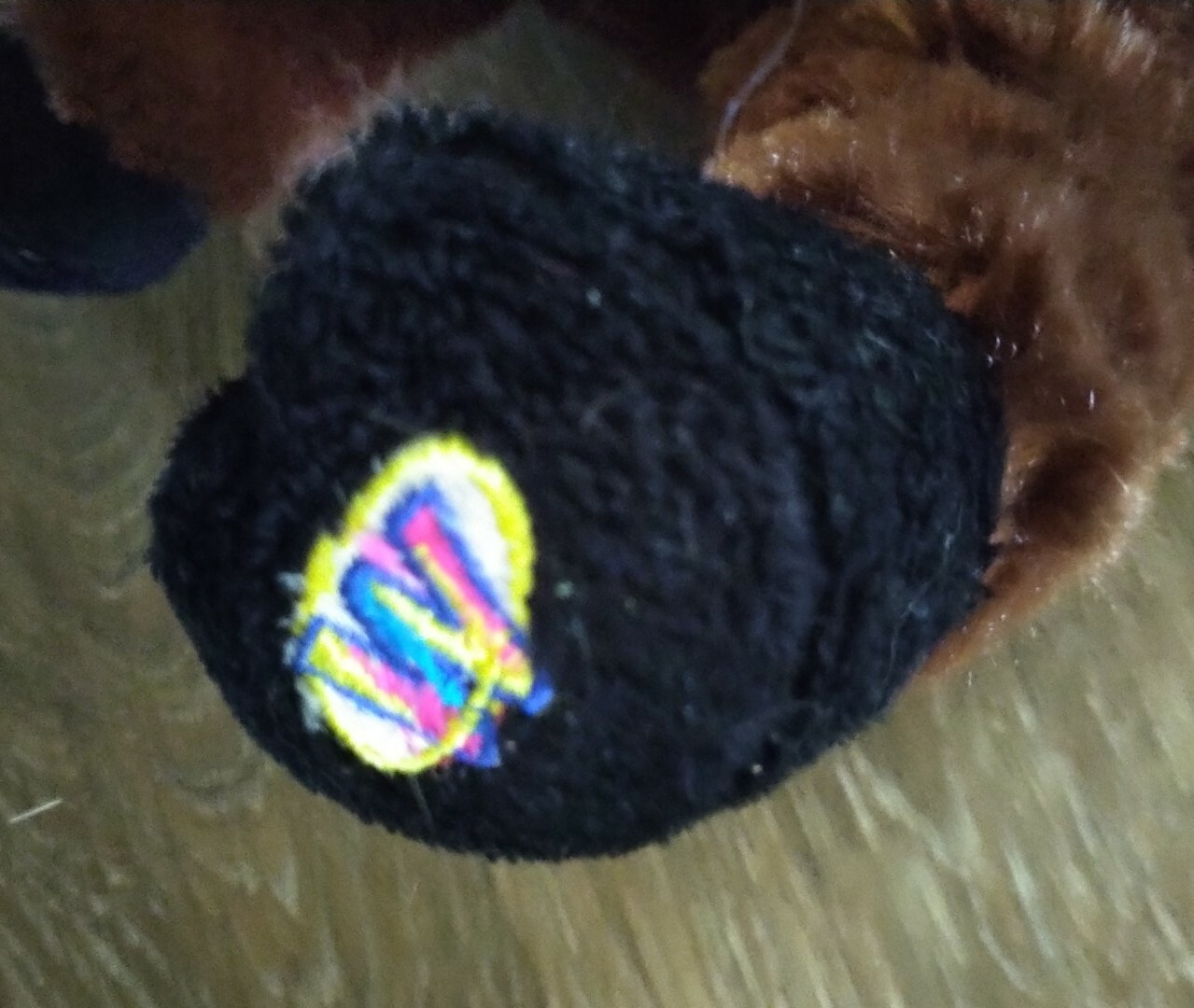 Picture 5 of 5