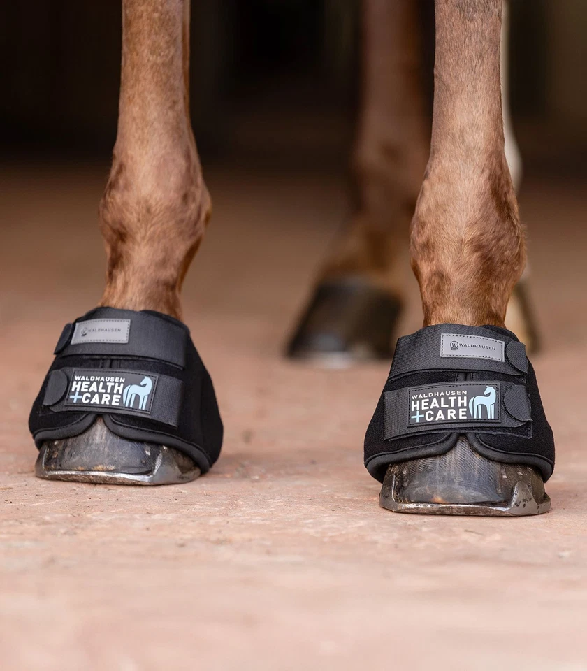 Waldhausen campana di raffreddamento