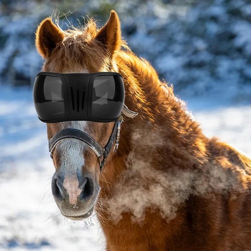 Gafas ecuestres premium para protección mejorada de caballo cubierta de ojos de caballo - Imagen 9 de 41