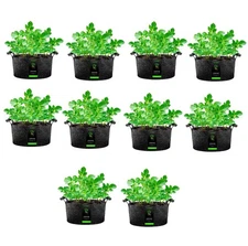 VIVOSUN 10 Pack 100 Gallon Grow Bag Fabric Pot w/ Handles for Growing Plants