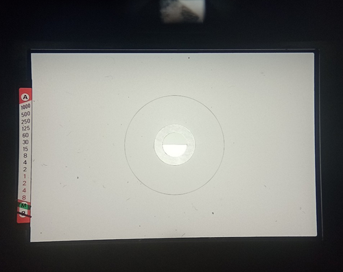 Nikon FE Chrome SLR - Picture 7 of 7