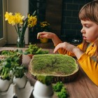 Simulated Moss Ornaments Micro Landscape Turf Scene Mini Garden Artificial