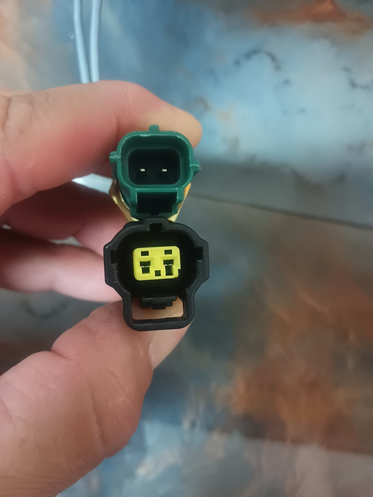 Item photo(s) from verified buyer
