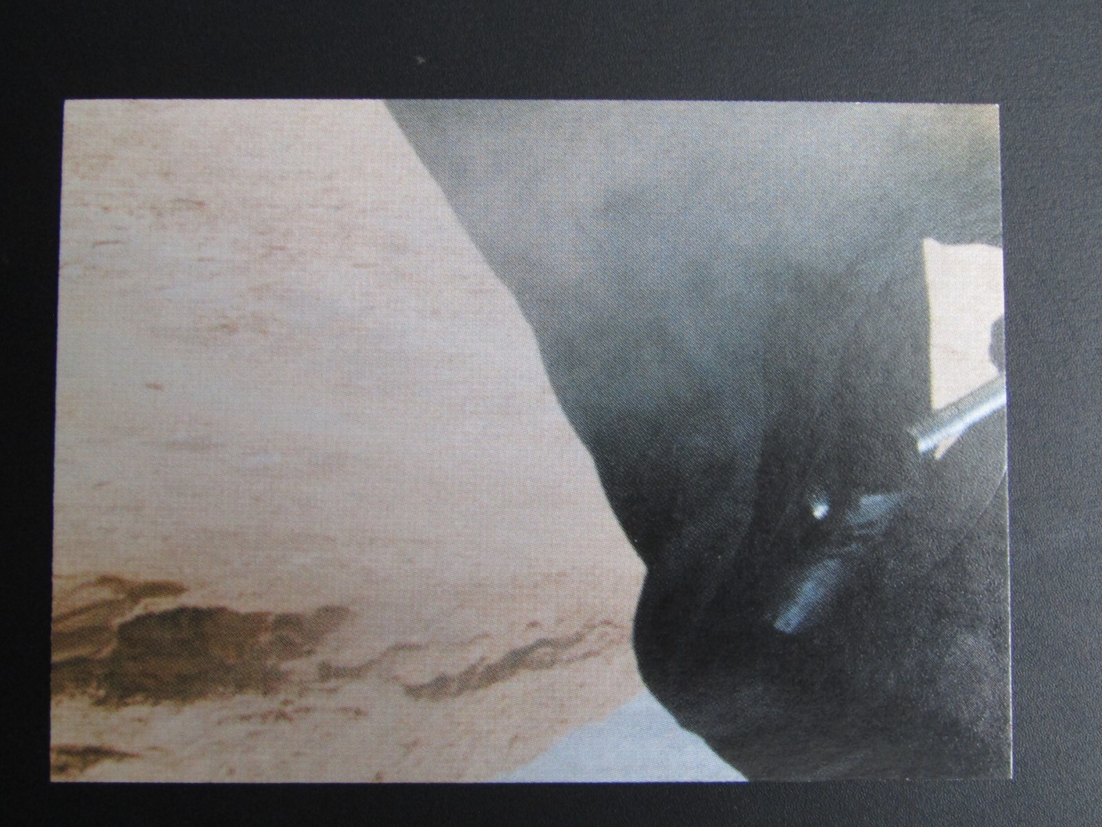 Picture 5 of 91