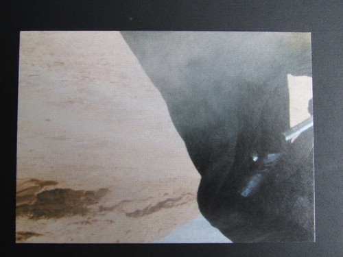 Pepsi 1999 Star Wars Episode 1 The Phantom Menace TCG (Mexico) Card Choice - Picture 5 of 91