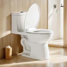 One Piece Toilet Bathroom Compact Dual Flush With Soft Close Seat ceramic