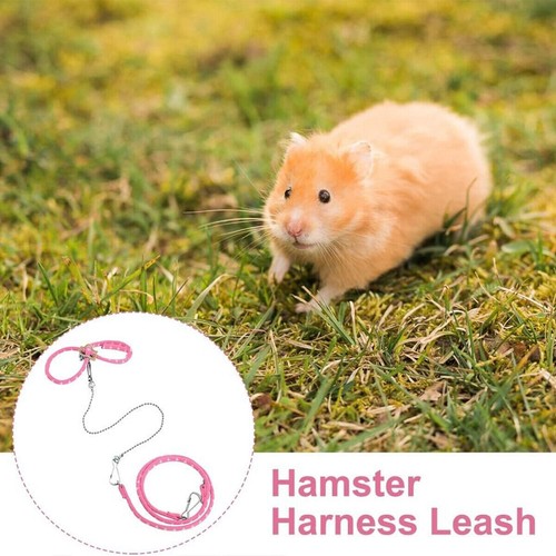 Hamster Traction Rope Anti Bite Mouse Walking Leash Windproof Outdoors Safe AU - Picture 12 of 19