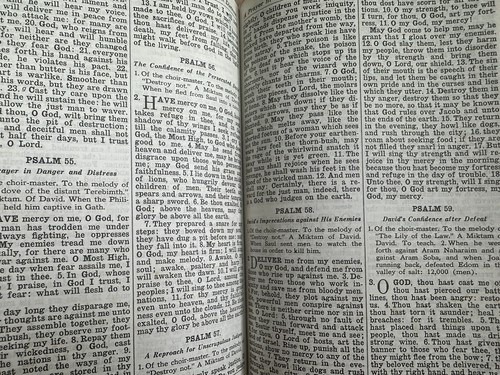 The Holy Bible Douay Confraternity New Catholic Edition Vintage 1950 - Picture 8 of 9