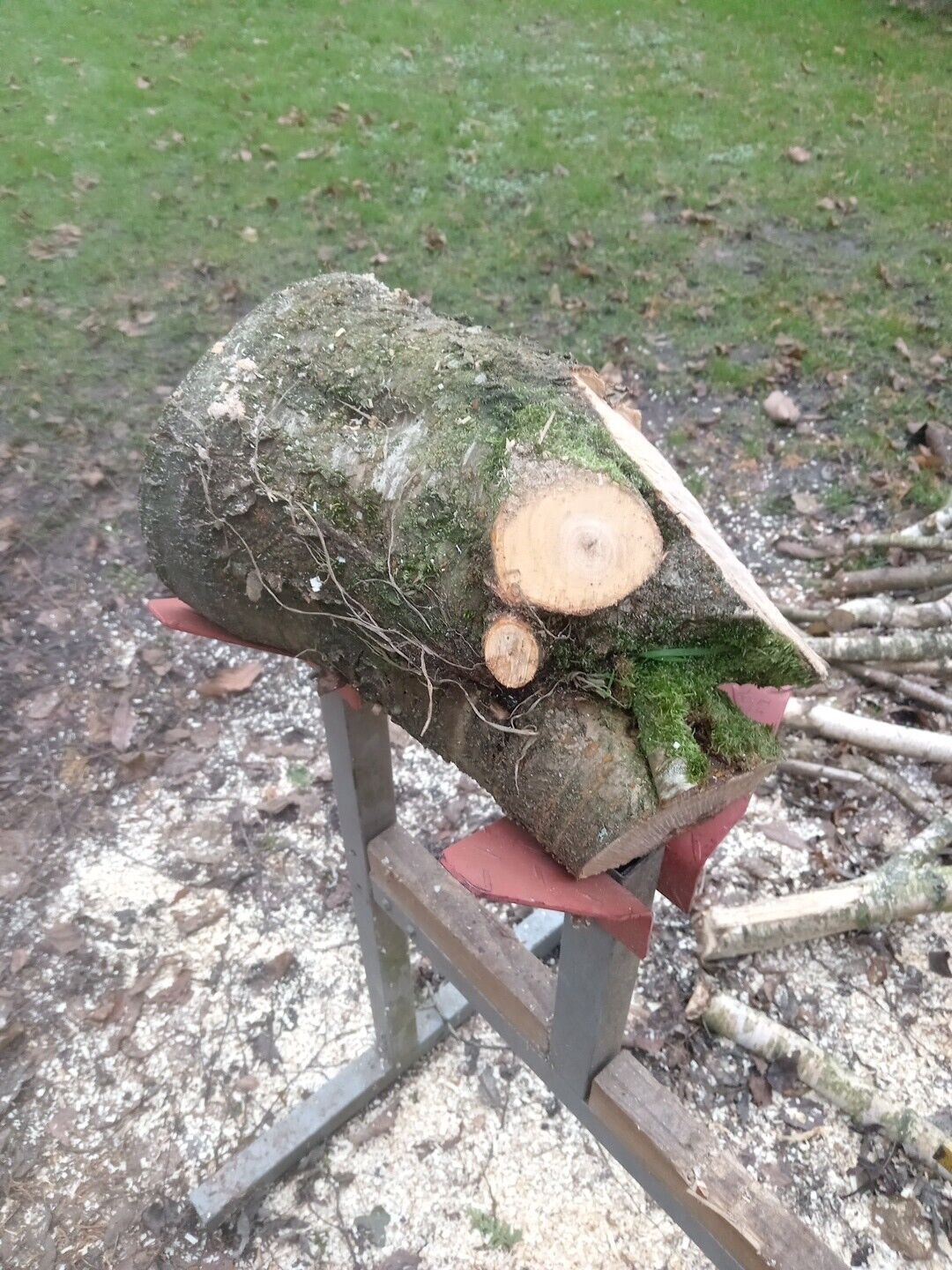 Bild 6 von 8