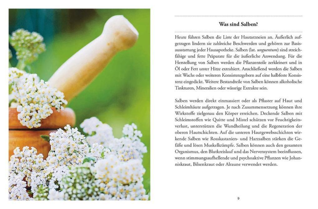 Thumbnail - Das Große Kleine Buch: Heilsalben Aus Wald Und Wiese | Gabriela Nedoma