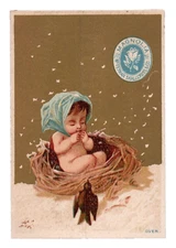 c.1880 McFerran Shallcross Magnolia Ham Trade Card Louisville KY Snow Bird Baby