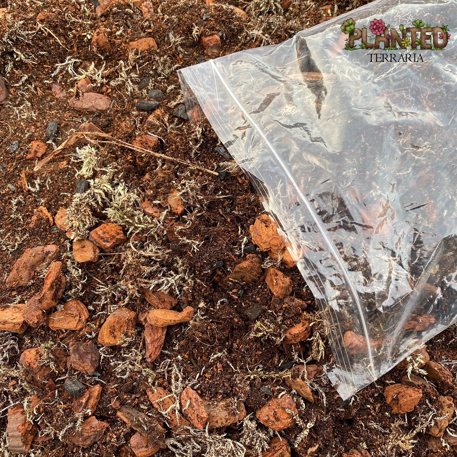 PlantedTerraria Forest Bioactive Mix ABG Substrate Reptile Amphibian Soil eBay